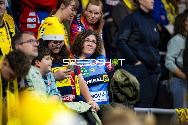 Fan-Szene in der SAP Arena