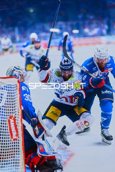 Verteidigung der Adler im Zweikampf gegen Eisbären