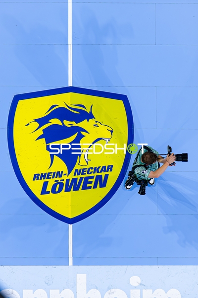 Rhein-Neckar Löwen Logo