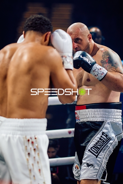 Boxer in Ringside Zone Boxevent