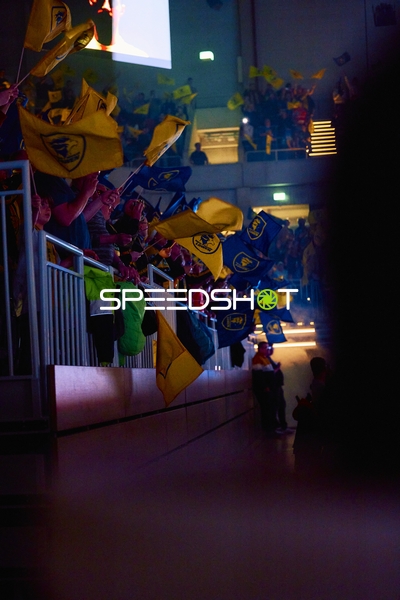 Fans schwenken Fahnen