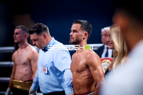 Boxer in Ringside Zone