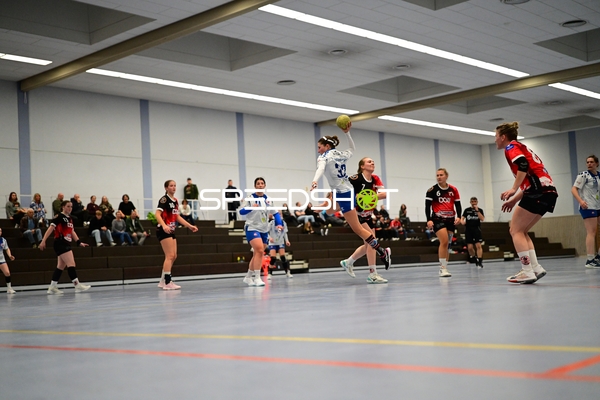 33; TVE - Edinger Haie mit Sprungwurf