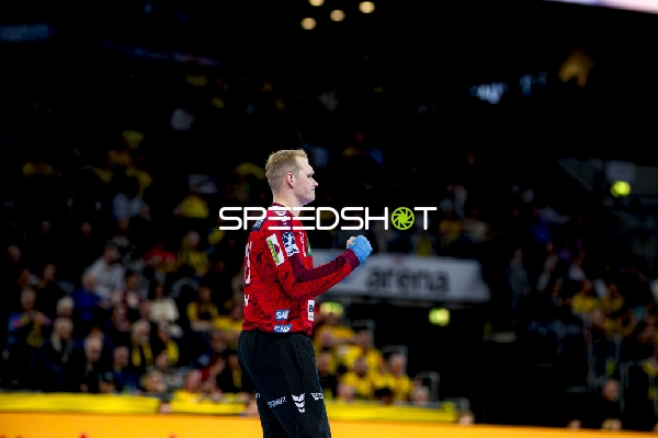 Parade von David Späth (29; Rhein Neckar Löwen)