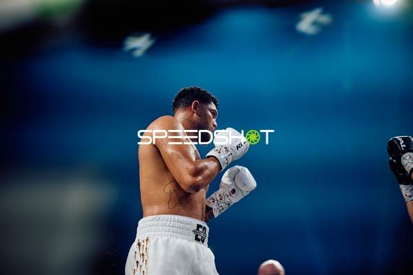 Boxer in Ringside Zone