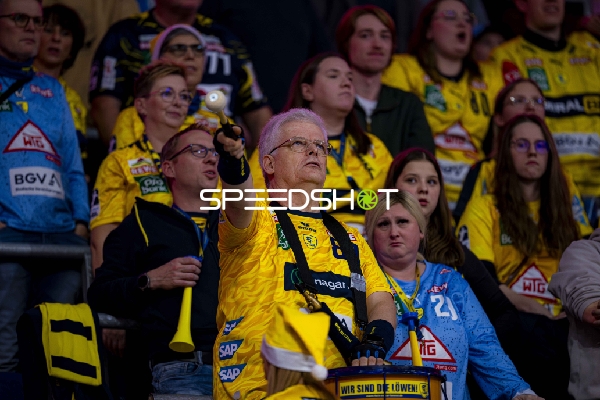 Fans in gelben Trikots