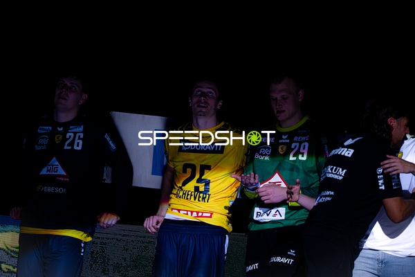 Rhein-Neckar Löwen Spieler in Halle