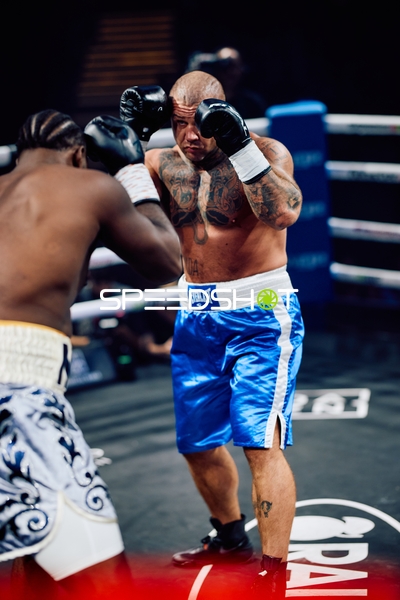 Boxer in Ringside Zone