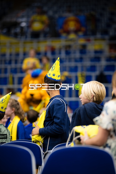 Fans der Rhein Neckar Löwen