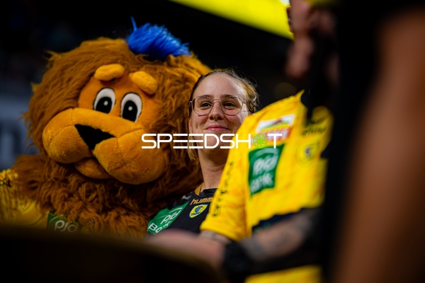 Team-Umfeld Rhein Neckar Löwen