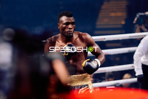 Boxer in Ringside Zone