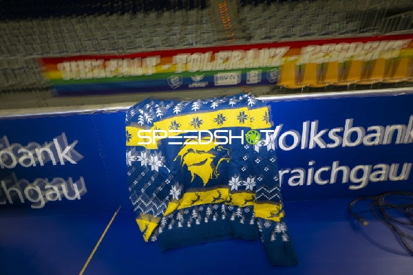 Rhein-Neckar Löwen Pullover in Arena