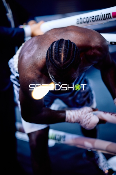 Boxer in Ringside Zone