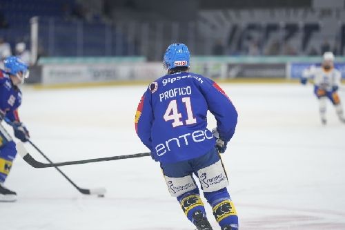 Profico mit Puck am Eis