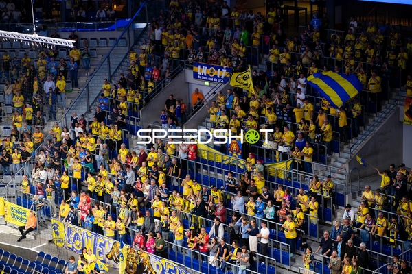 Fans der Rhein Neckar Löwen in Aktion