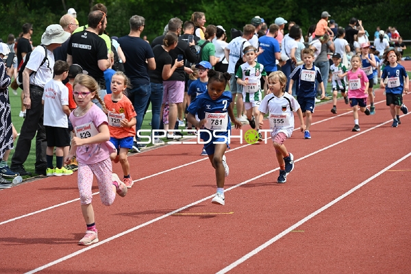 TVE Sommerlauf Edingen 2025