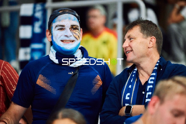 Fans der MLP Academics Heidelberg