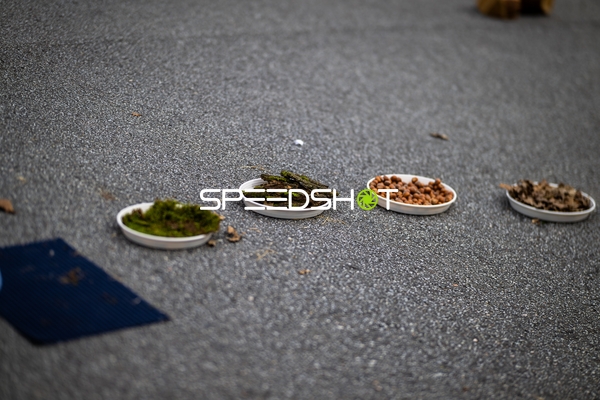 Spielfeldszene ohne Aktion