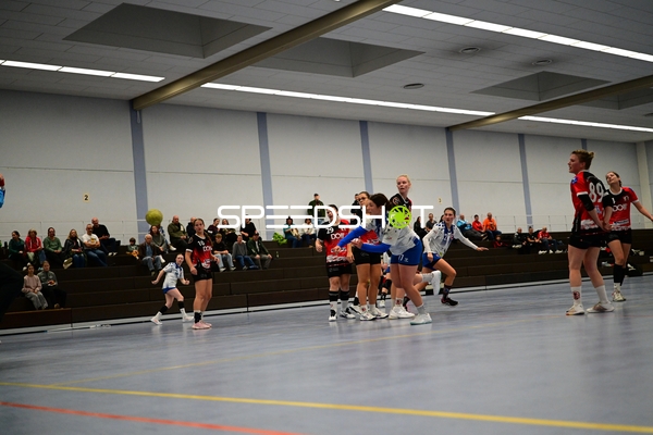 Spieler von TVE - Edinger Haie in Aktion