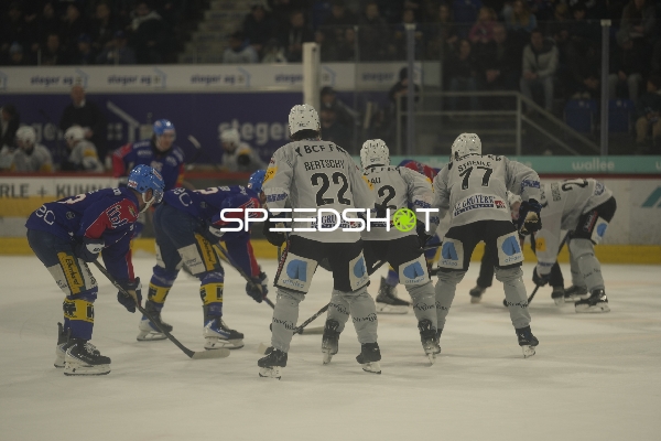 Faceoff mit Christoph Bertschy (22; Fribourg-Gotteron) und Maximilian Streule (77; Fribourg-Gotteron)