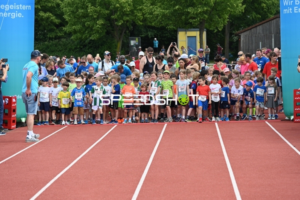 Start TVE Sommerlauf Edingen 2025