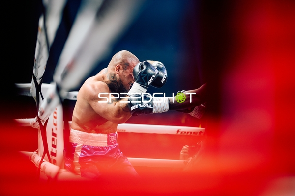 Boxer in Ringside Zone