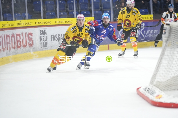 Alain Graf (43; SC Bern) verteidigt gegen Axel Simic (28; EHC Kloten)