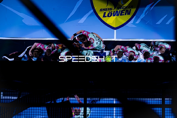 Rhein-Neckar Löwen Spieler in Halle