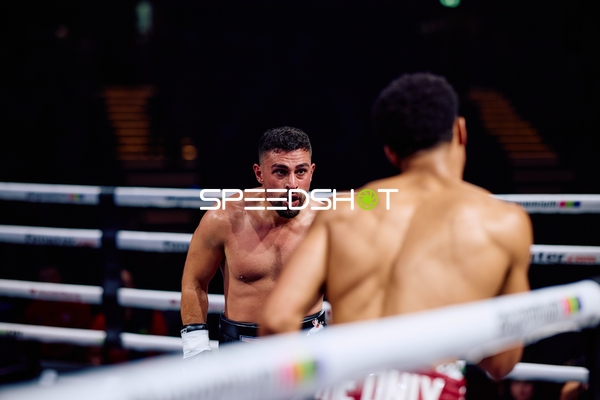 Boxer in Ringside Zone