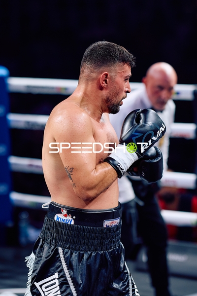 Boxer in Ringside Zone