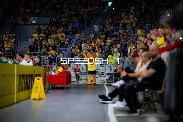 Maskottchen der Rhein Neckar Löwen bei Fanunterstützung