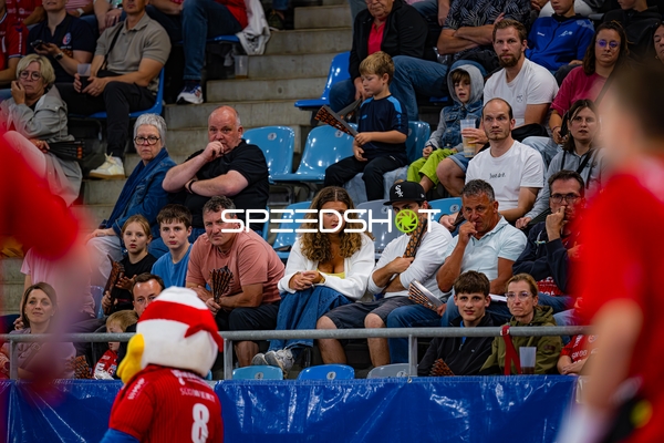 Fans verfolgen Handballspiel