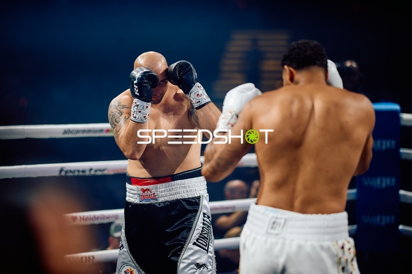 Boxer in Ringside Zone