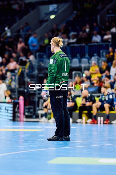 Torwart der Rhein-Neckar Löwen in der SAP Arena