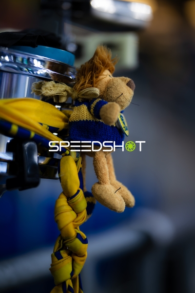 Maskottchen der Rhein Neckar Löwen