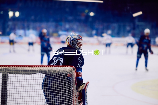 Adler Mannheim Torwart in Verteidigungsposition