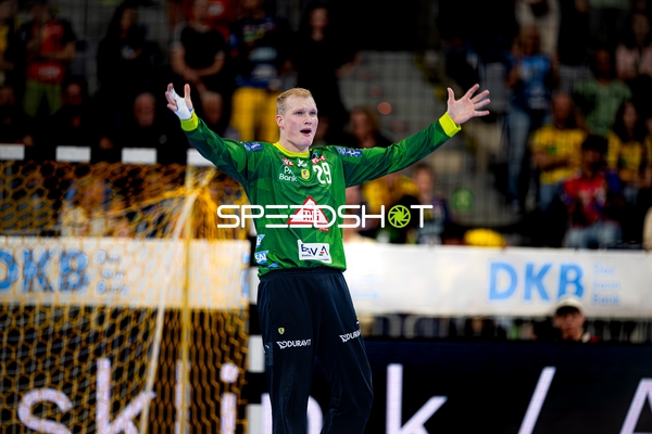 Torwart David Späth (29; Rhein Neckar Löwen) in Position