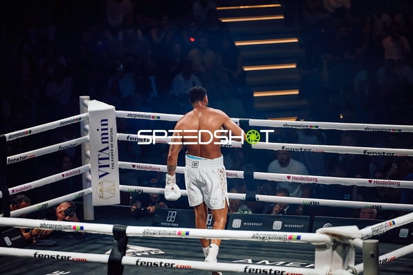 Boxer im Ring