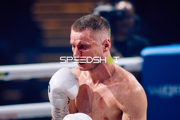 Boxer in Ringside Zone