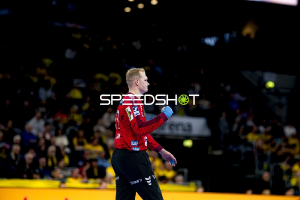 Parade von David Späth (29; Rhein Neckar Löwen)