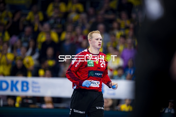 Torwart David Späth (29; Rhein Neckar Löwen) fokussiert