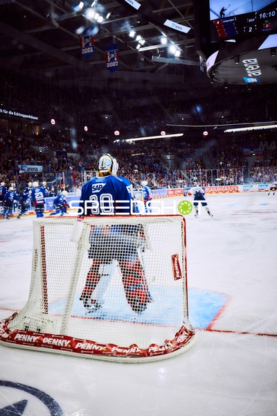 Adler Mannheim Torwart in Verteidigungsposition