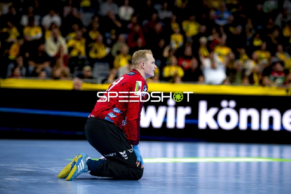Torwart David Späth (29; Rhein Neckar Löwen) in Aktion