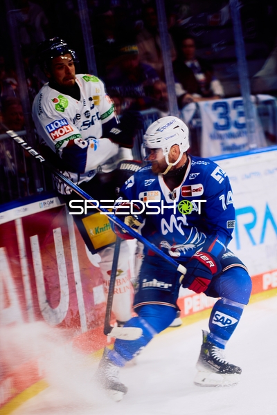 Zweikampf an der Bande im Halbfinale