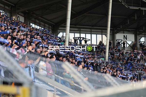 Fans von SV Waldhof Mannheim unterstützen ihr Team