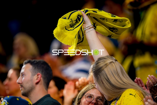 Fanunterstützung in SAP Arena