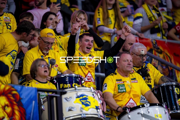 Fans in gelben Trikots feiern