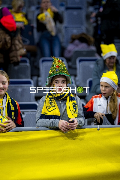 Fans in gelben Schals