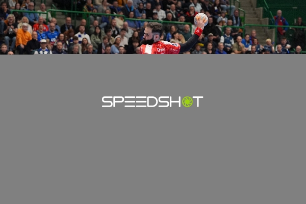 David Mandić (7; MT Melsungen) mit Ball