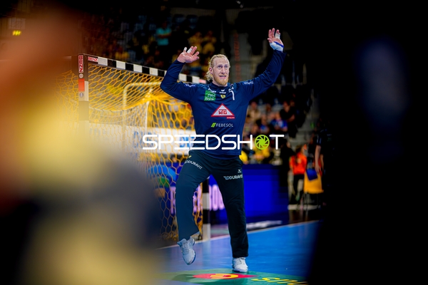 Torwartabwehr Mikael Appelgren (1;Rhein Neckar Löwen)